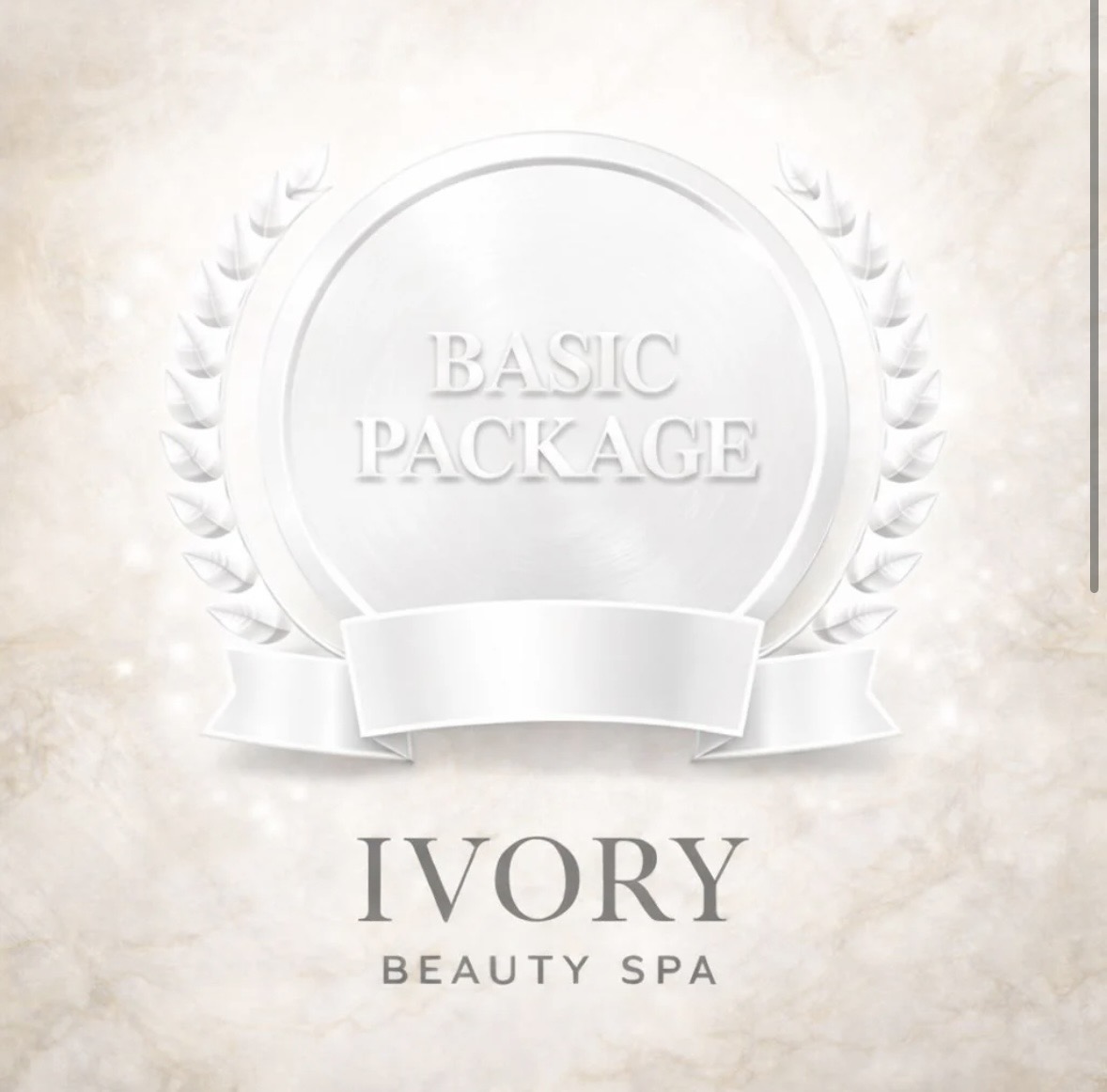 Basic Package